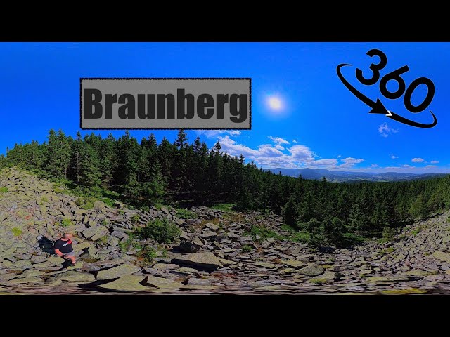 Braunberg  360