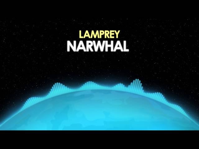 Lamprey – Narwhal [Indie Rock] 🎵 from Royalty Free Planet™