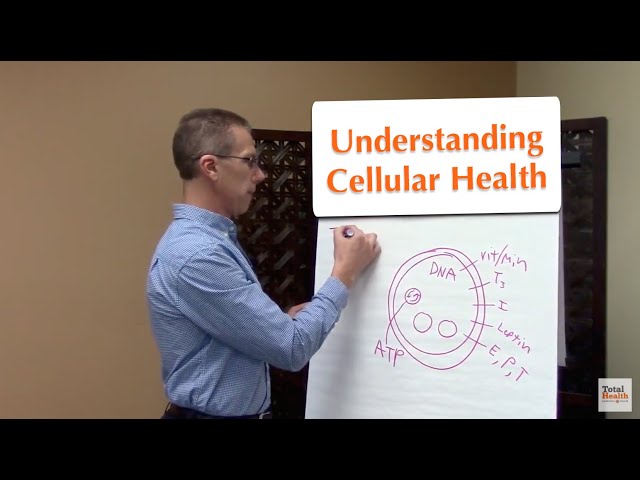 How Disease Happens at the Cellular Level & How to Fix Cellular Health