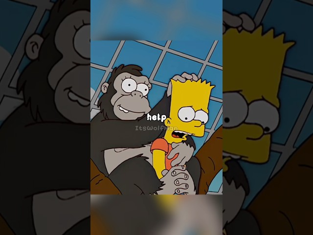 Bart is now in monkey captivity, Homer is trying to save him #cartoon #simpsons #funny #shorts