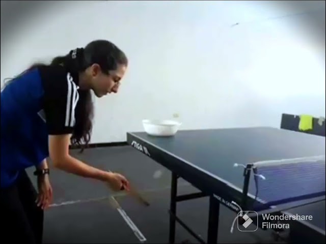 Table Tennis Time 🏓🏓