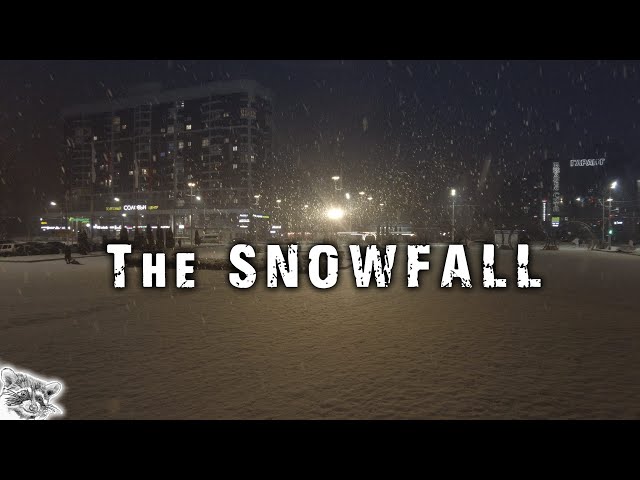 Snowfall