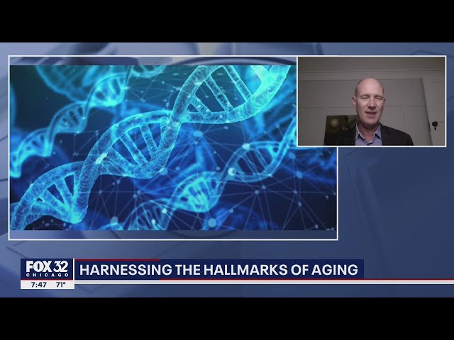 Slowing down the aging process: Is it possible?