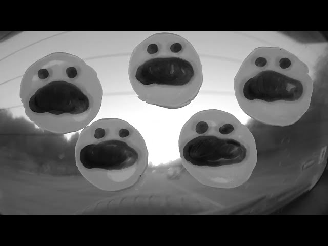 Tomahawk "Predators and Scavengers" (Official Video)