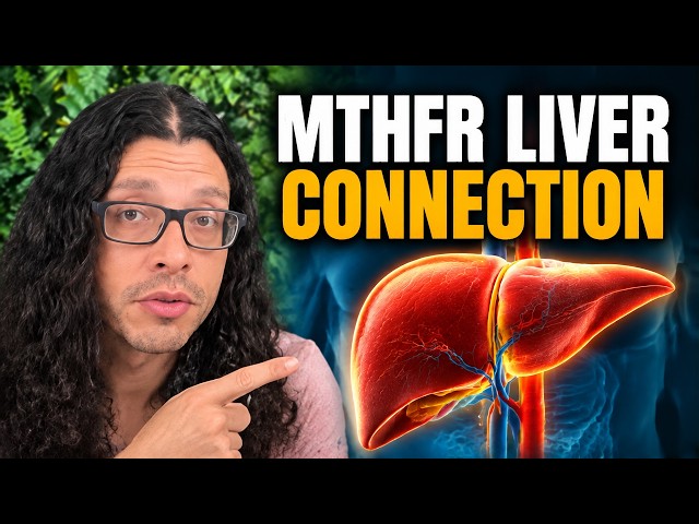 MTHFR and Your Liver: The Connection Nobody Explains