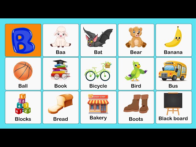 Words From B | Vocabulary Words | Early Childhood Education | ABC Flashcards
