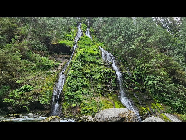 🌊 Deep Forest Waterfalls | Relaxation, Meditation and Better Sleep