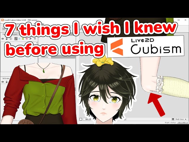 7 things I wish I knew before using Live2d