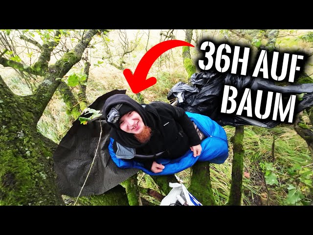 36H auf einem BAUM CHALLENGE