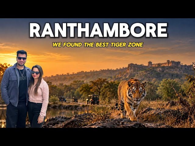 Ranthambore National Park Tour | Aliste Resort | Jungle Safari | Weekend Getaway from Delhi | Vlog