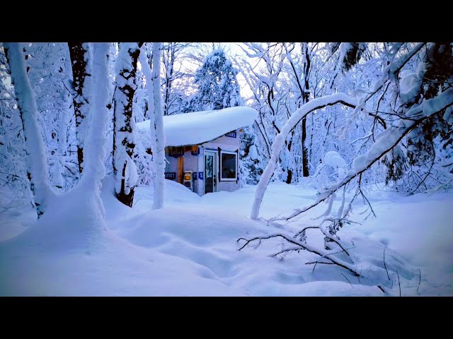 Tiny Cabin - GIANT SNOWSTORM - Extended Cut