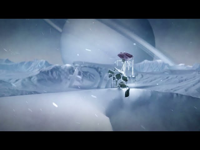 DTF - CONFIDENCE (Visualizer Officiel)