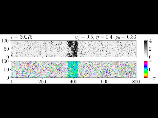 Vicsek model in rectangular geometry - One band