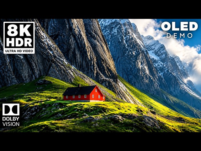 OLED Chroma Precision | 8K HDR Dolby Vision Premium Visual Demo