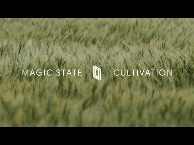 Demonstrating Magic State Cultivation on the Willow Processor | Google Quantum AI