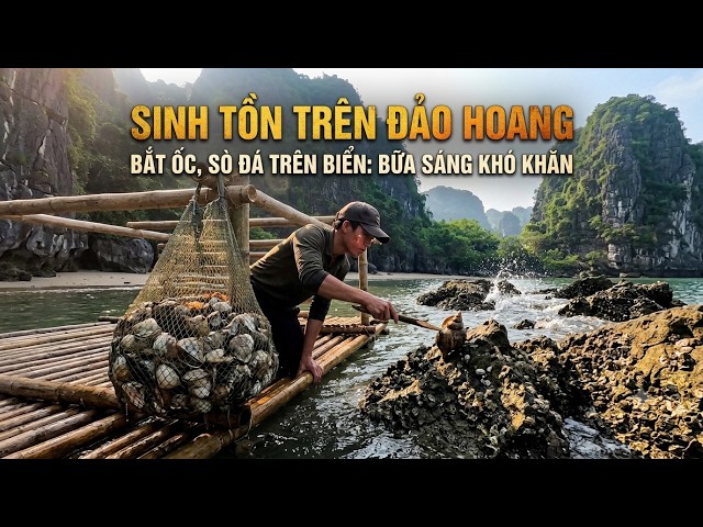 Survival Challenge: Repairing a Bamboo raft and Harvesting Sea Snails & Cock Clams