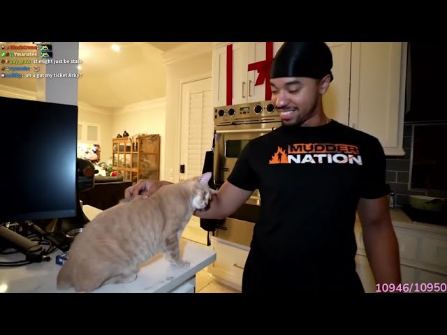 Emiru's Cat Cheddar Loves Arky!