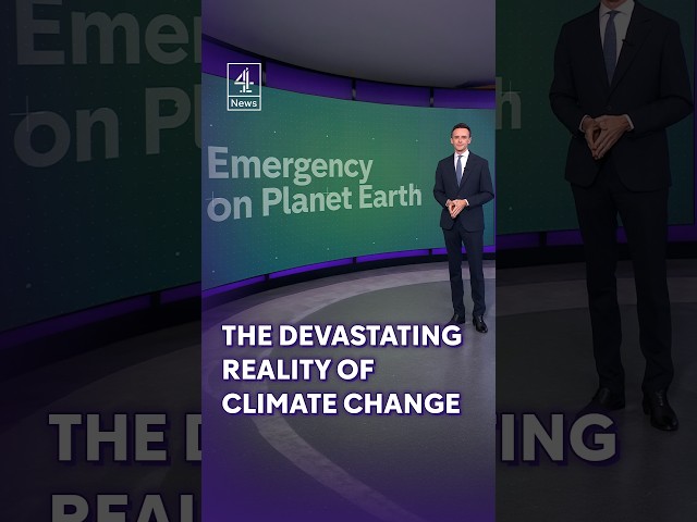 The devastating reality of climate change explained