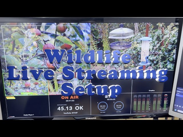 Wildlife Live Streaming Setup 2025