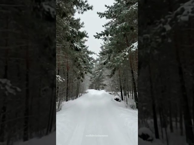 Winter Silence You Can Feel  #snow