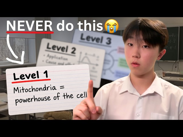 3 levels of flashcards all students MUST master (you're doing level 1)