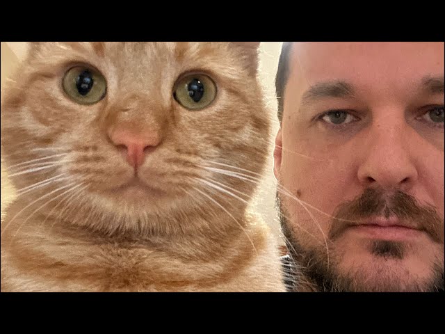 Midweek Stream