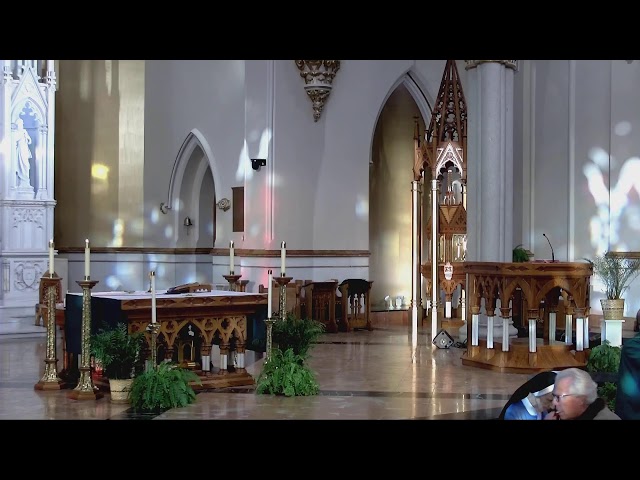 Saturday of the Twenty-ninth Week in Ordinary Time