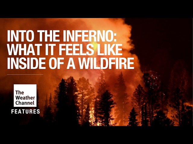 What It’s Really Like Inside a Wildfire | South Dakota Firefighters Tell Their Stories