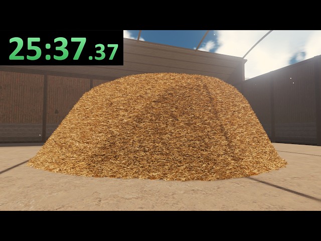 Needle In A Haystack Speedrun (World Record)