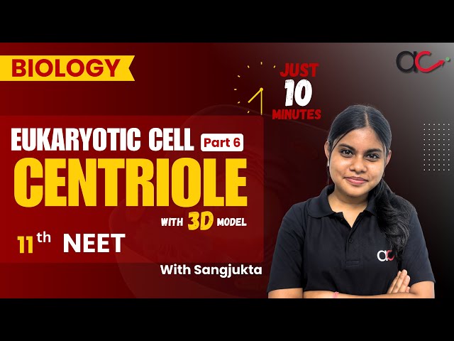 CENTRIOLE Made Easy 💥 | Eukaryotic Cell Part 6 | 3D Animation | NEET 2027 तैयारी