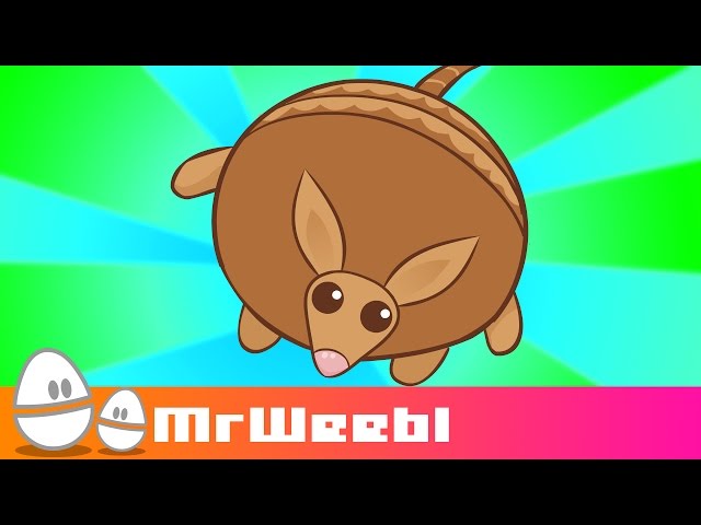 Armadillo : animated music video : MrWeebl