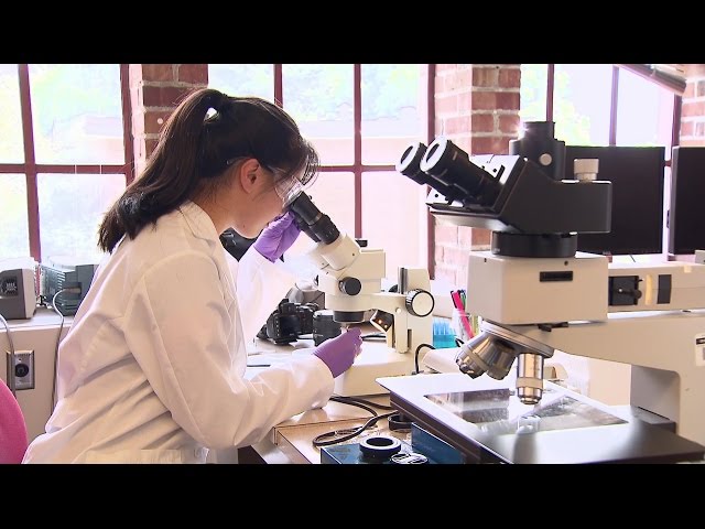Explore UW Engineering - Materials Science & Engineering