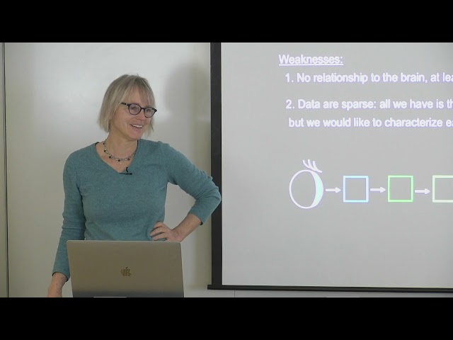 5. Cognitive Neuroscience Methods II