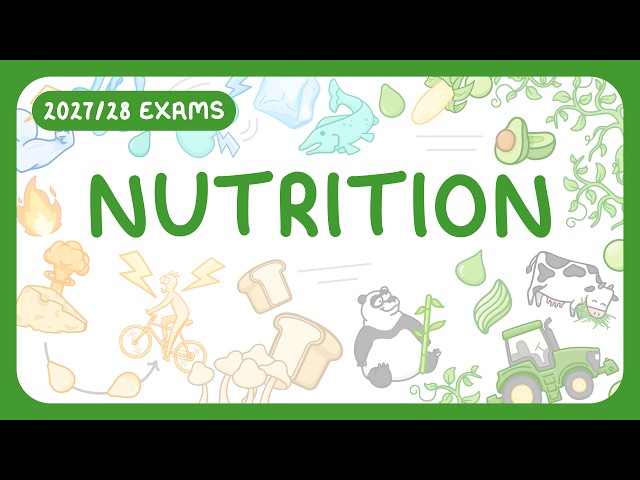 GCSE Biology - Nutrition - Carbohydrates | Lipids | Proteins | Vitamins | Minerals (2027/28 exams)