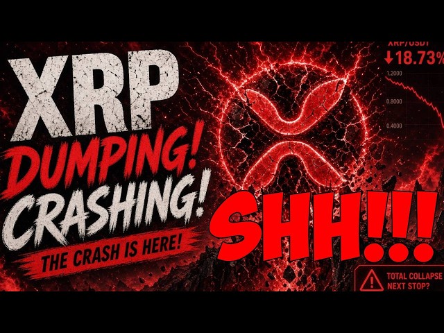 Ripple XRP A STRANGE MYSTERY IS STARING US AT OUR FACES NOBODY LOOKS!