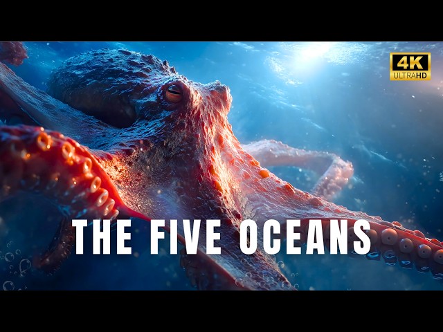 THE FIVE OCEANS | A Hidden World of Giants and Deadly Secrets | Nature Animal Documentary