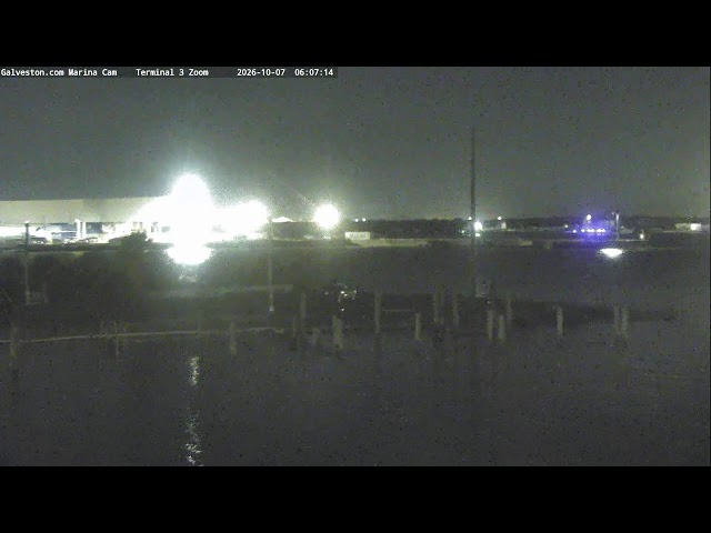 MARINA CAM: Live from the Galveston Yacht Basin and Cruise Terminal 10