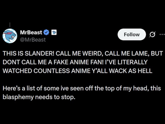 Mr Beast is NOT BEATING ANIME TOURIST ALLEGATIONS 😭