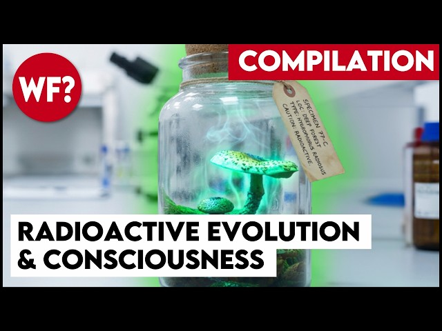 Human Evolution and the Power of the Mind: Science Compilation