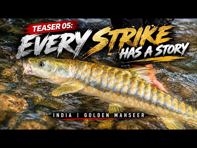 Teaser 5 - Golden Mahseer Trip to India