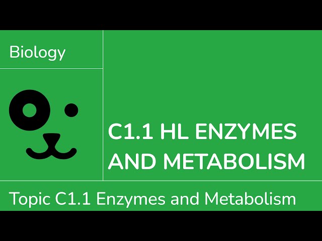 C1.1 HL Enzymes and Metabolism [IB Biology HL]