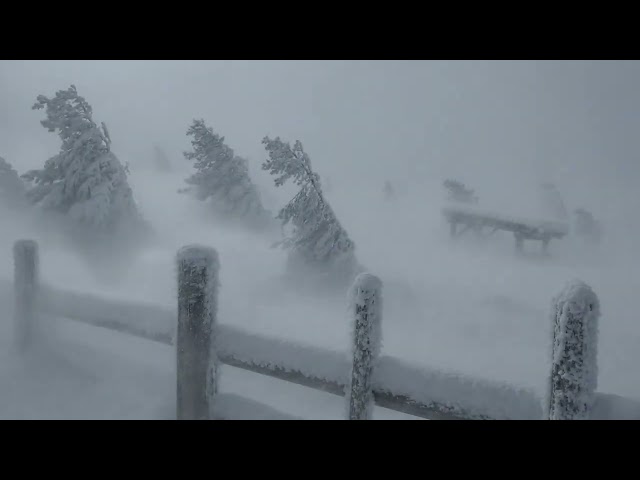 RELENTLESS POLAR BLIZZARD and FROZEN WIND SOUNDS for SLEEP | Snowbound Serenity Night Ambience 2026