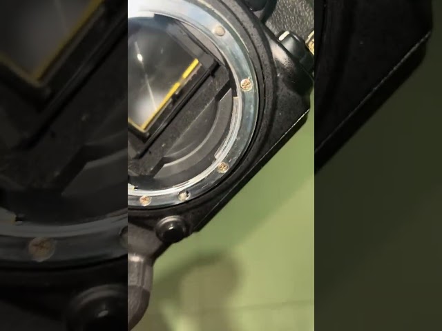 Kondisi sensor kamera d610