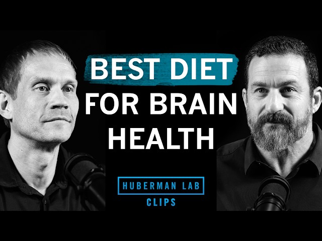 Best Diet to Improve & Maintain Brain Health | Dr. Tommy Wood & Dr. Andrew Huberman