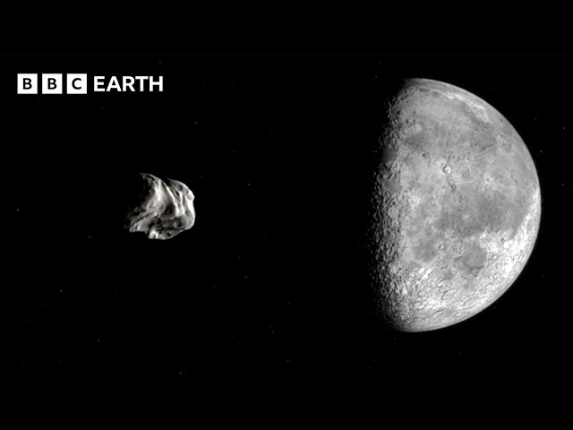 What 4.6-Billion-Year-Old Meteorites Reveal About Our DNA | BBC Earth Science