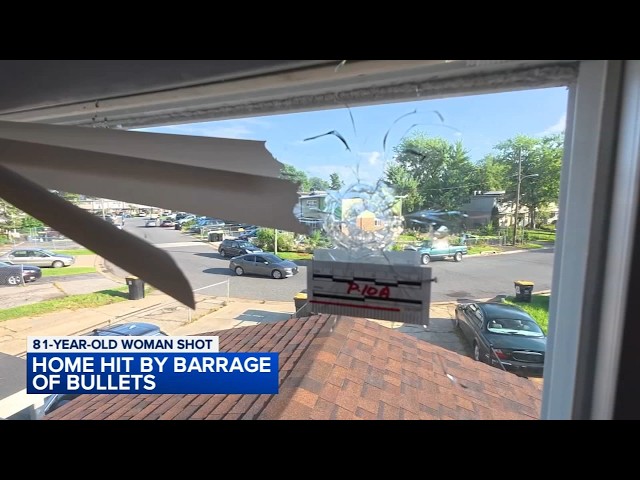Woman, 81, injured when dozens of shots are fired into home