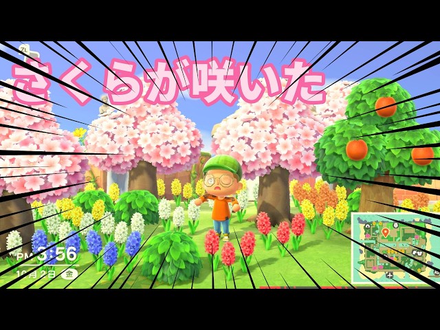 [Animal Crossing] Spring is here!!!!