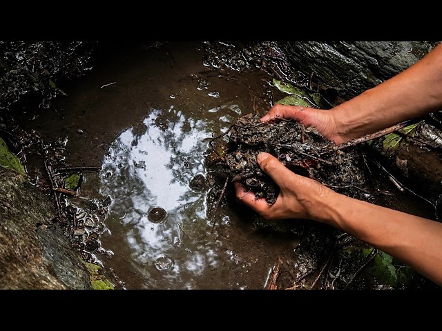 Drastic Water Change — 5 Months Restoring This Stream... And Then