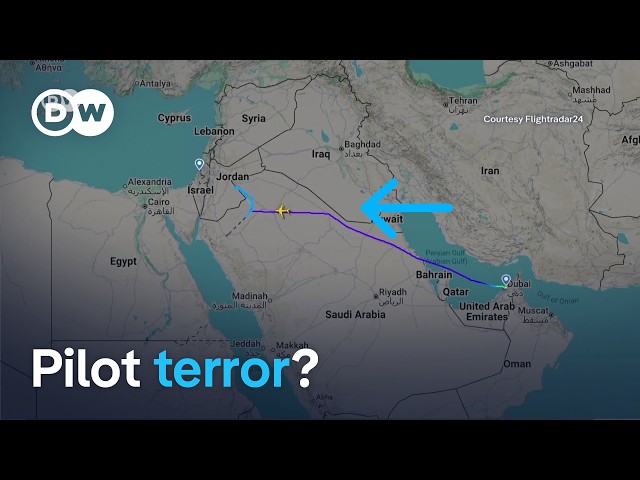 Brawl between pilots on Israel bound flight prompts hijack alert | DW News