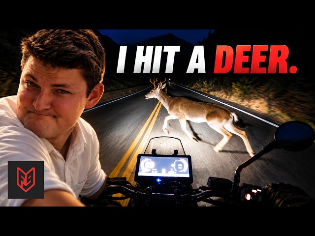 5 Tips for Hitting a Deer